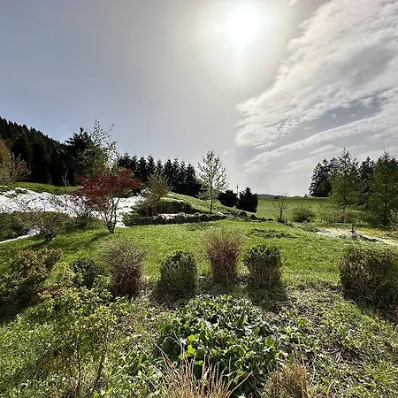 公寓 Baerenhoehle 上施陶芬